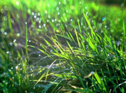 В понедельник в Ставрополе ожидаются грозовые дожди