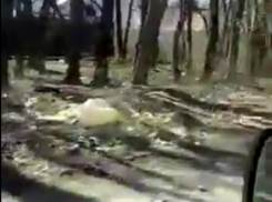 Ставропольцы жалуются на мусорные кучи и ждут первый весенний субботник