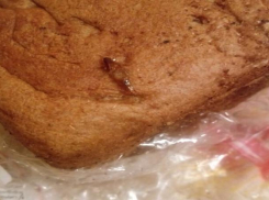 Таракана в хлебе из супермаркета обнаружила во время завтрака семья из Ставрополя