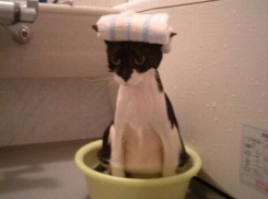 23 августа сильная жара ожидает Ставрополье 