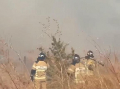 Нулевая видимость, 19 эвакуированных: что известно о сильном пожаре в 50 гектаров на Ставрополье 