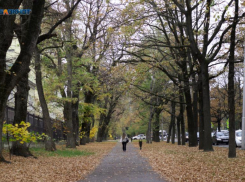 Похолодание на Ставрополье пообещали в начале следующей недели 