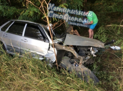 Вылетевшая с трассы «пятнашка» врезалась в дерево  на Ставрополье