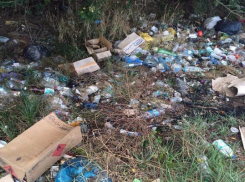 Свалка мусора образовалась на излюбленном месте дальнобойщиков в Невинномысске