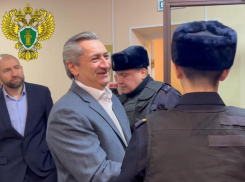 Бывший и.о. вице-премьера Башкирии Алан Марзаев лишился имущества в Ставропольском крае и 560 миллионов 