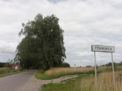  Глава сельсовета получил условный срок за злоупотребление полномочиями на Ставрополье 