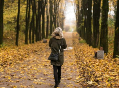 Прохладная и ясная погода ждет Ставрополь 18 сентября