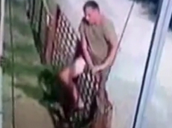 Мужчина до смерти забил лопатой пса соседей в Ставрополе