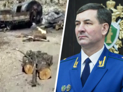 Черных углежогов Кавминвод, промышлявших незаконным бизнесом,  привлекут к ответственности