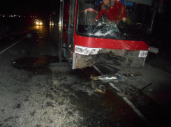 Рейсовый автобус столкнулся с легковушкой на Ставрополье: водитель погиб