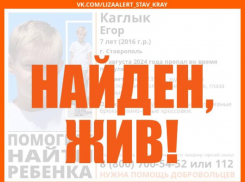 Исчезнувшего во время прогулки 7-летнего мальчика объявили в розыск в Ставрополе