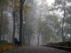 Сильный ветер и ледяной дождь на протяжение дня ждут Ставрополь 31 октября