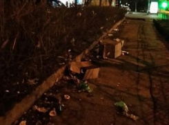 «Сил терпеть это больше нет!» - жительница Ставрополя пожаловалась на кучи мусора на центральной улице