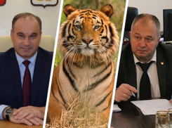 Друзья в полосочку: кто из первых лиц Ставрополья родился в год Тигра