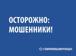 «Ставропольэнергосбыт» напоминает, как не стать жертвой мошенников