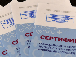 В минздраве Ставрополья опровергли сокращение сроков действия сертификатов о вакцинации