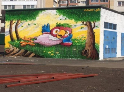 Яркое граффити в одном из дворов Ставрополя подняло настроение горожанам