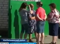 Эта собака всегда на всех кидалась, - соседи рассказали о трагедии с загрызенной малышкой на Ставрополье