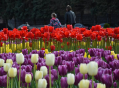 «Город прощается с Андреем Хасановичем» —  депутат Госдумы Михаил Кузьмин о смерти мэра Ставрополя