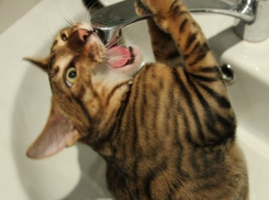 Воду отключат на нескольких центральных улицах Ставрополя из-за ремонта