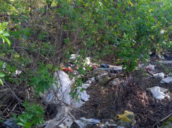 Ставропольцы, вам не надоело жить в дерьме?