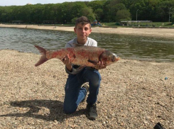 Огромную рыбину поймал школьник в Комсомольском пруду Ставрополя