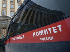 Житель Ставрополья вступал в интимную связь с 13-летней школьницей