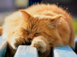 Тепло и солнечно будет в Ставрополе во вторник