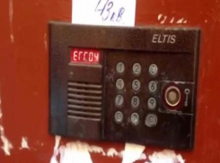 На месте преступления задержали ломавших домофоны вандалов в Ставрополе
