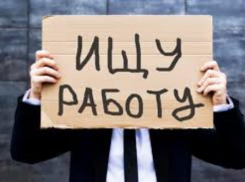 Больше 50% безработных ставропольчан имеют высшее и среднее образование