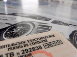 Почти половина водителей Ставрополья получила и заменила права на сайте Госуслуг