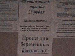 В ставропольской маршрутке устроили акцию для беременных