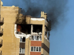 Экстраординарная ситуация с собаками и взрыв газа на Тухачевского: главные новости Ставрополья за неделю 