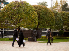 Встретить основателя Ставрополя и погладить сосиску кота можно на улицах города