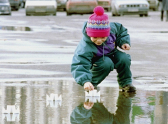 Весеннее тепло и сильный ветер ждут Ставрополье на выходных