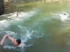 Четверо смельчаков устроили заплыв в ледяной воде на День защитника Отечества в Кисловодске