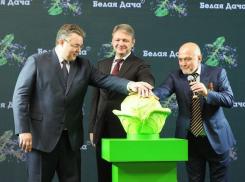 Первую в России рукколу будут выращивать на Ставрополье роботы