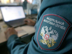 Ставрополье оказалось в числе лидеров по налоговым преступлениям