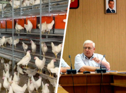 Председатель думы Кировского горокруга задолжал работникам своей птицефабрики 150 тысяч рублей