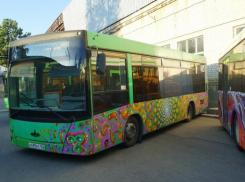 Что «Кардо» сделал со Ставрополем и общественным транспортом