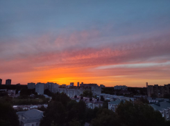 Потепление до +15 градусов порадует ставропольцев 21 февраля