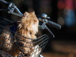 В воскресенье в Ставрополе ожидается потепление