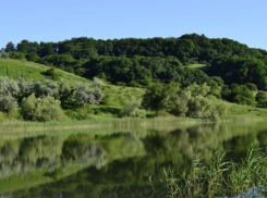 «Эммануэльевское урочище» станет заповедной зоной Ставрополя
