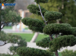 Ожидается жаркий и солнечный день в Ставрополе 19 июля