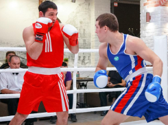 Ставропольские боксеры привезли медали из Сочи, а борец-классик стал призером в Венгрии