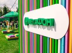 «Зеленый свет» абонентам «МегаФона»: оператор приглашает на фестиваль субкультур