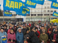Перед стартом президентских выборов ставропольское отделение ЛДПР бросили на произвол судьбы