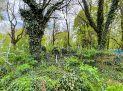 Больше 4,5 миллиона потратят на содержание недействующих кладбищ в Ставрополе