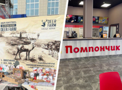 Разрекламированное мэром Невинномысска кафе и скандальная оленья ферма могли быть построены на грязные деньги
