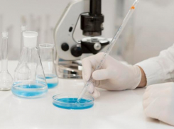 Эксперты выявили остатки антибиотиков в мясе птицы на Ставрополье 